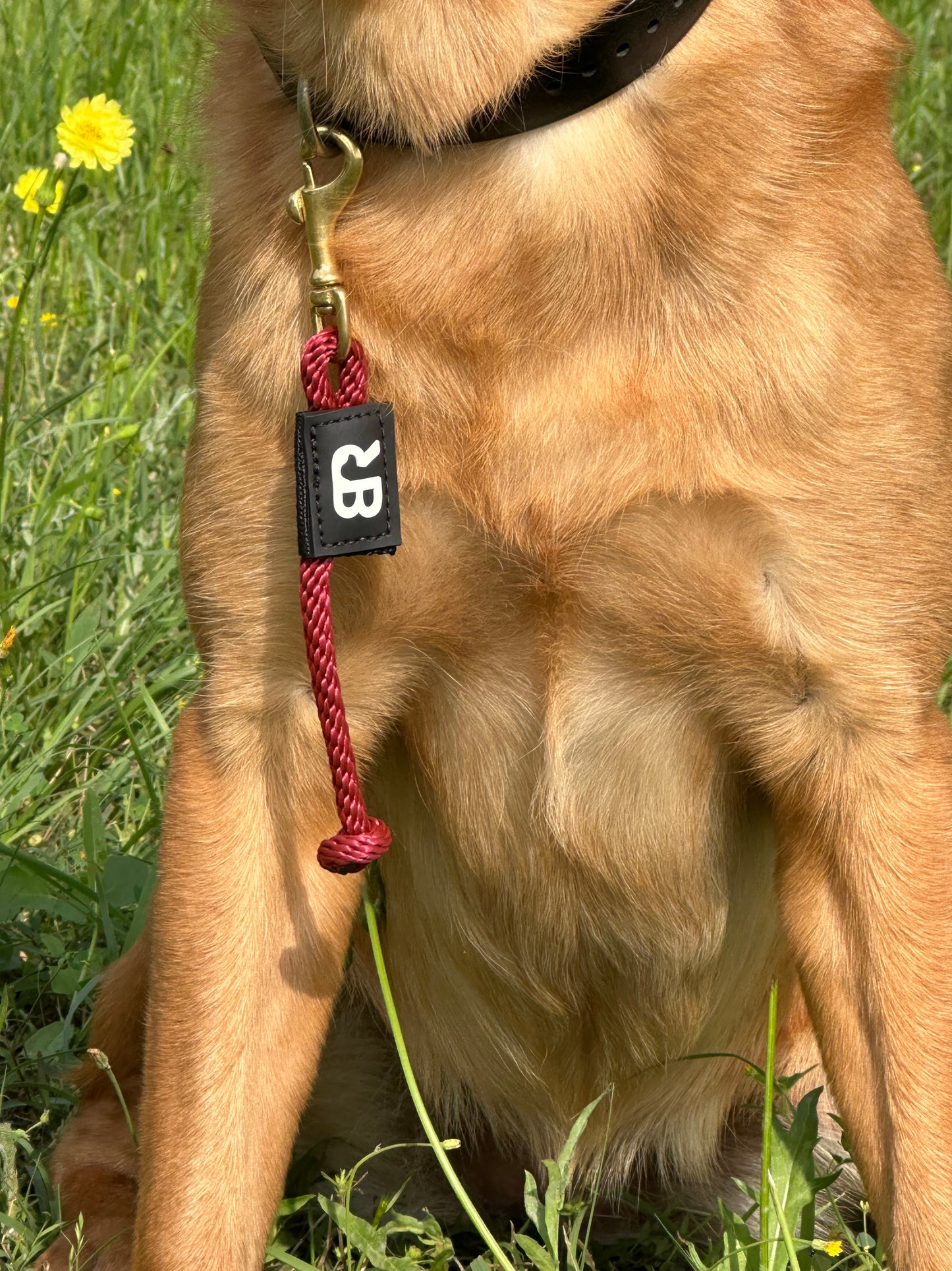 Mad Dog Tab Leash