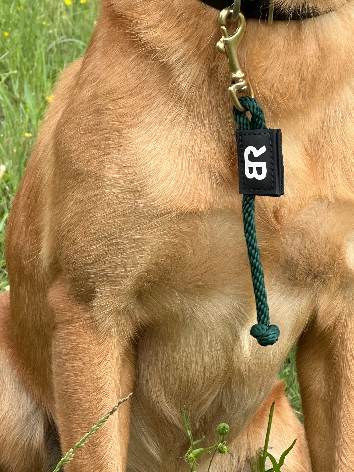 Mad Dog Tab Leash