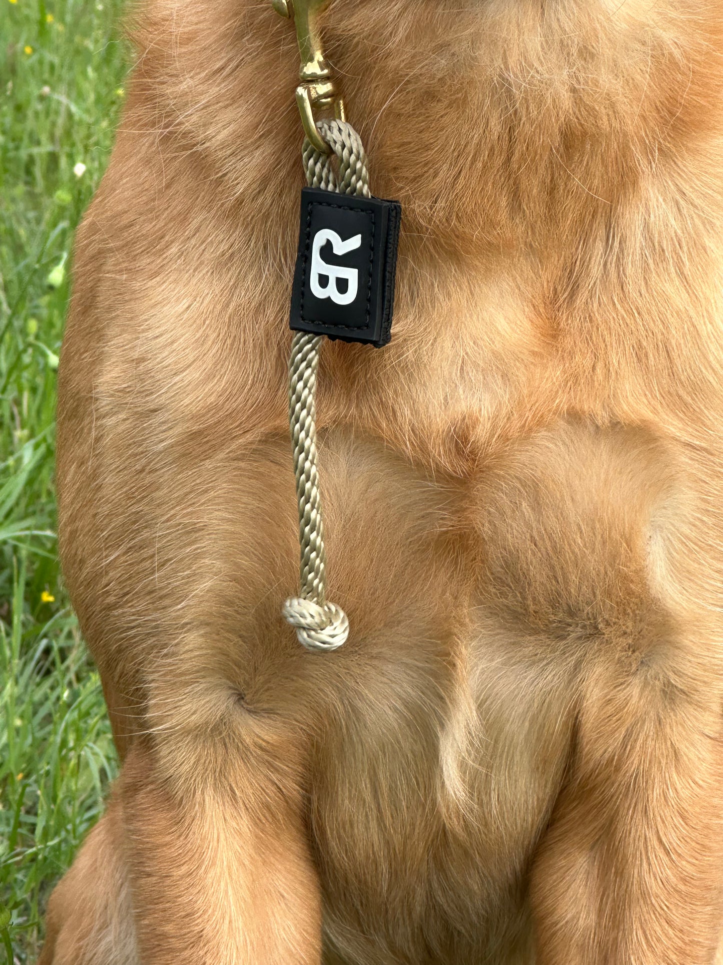 Mad Dog Tab Leash