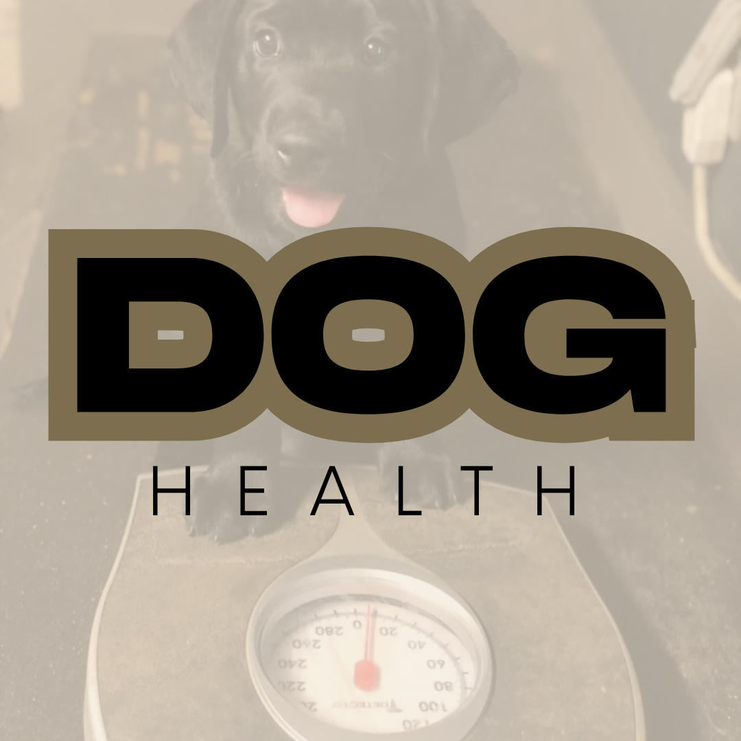 Dog Health