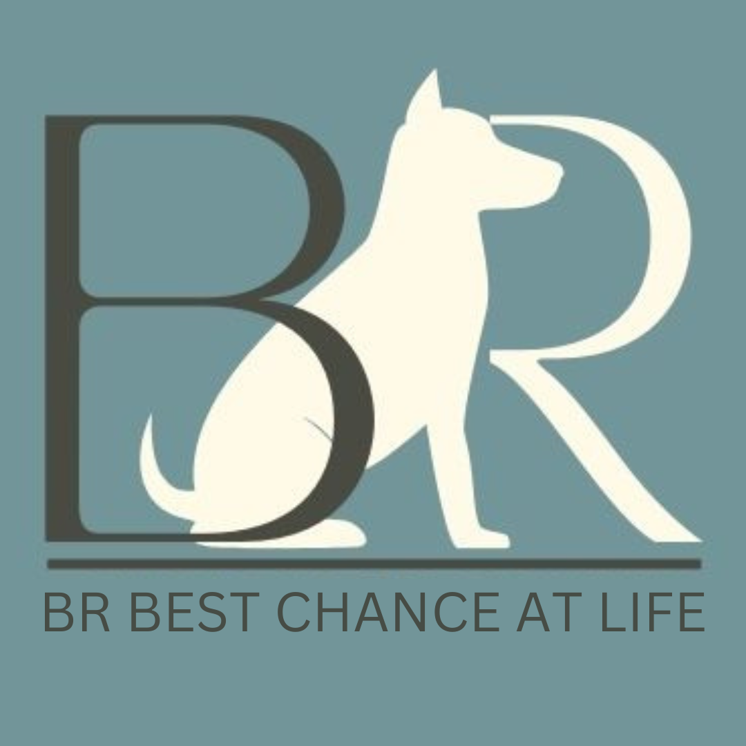 BR Best Chance Giftcard