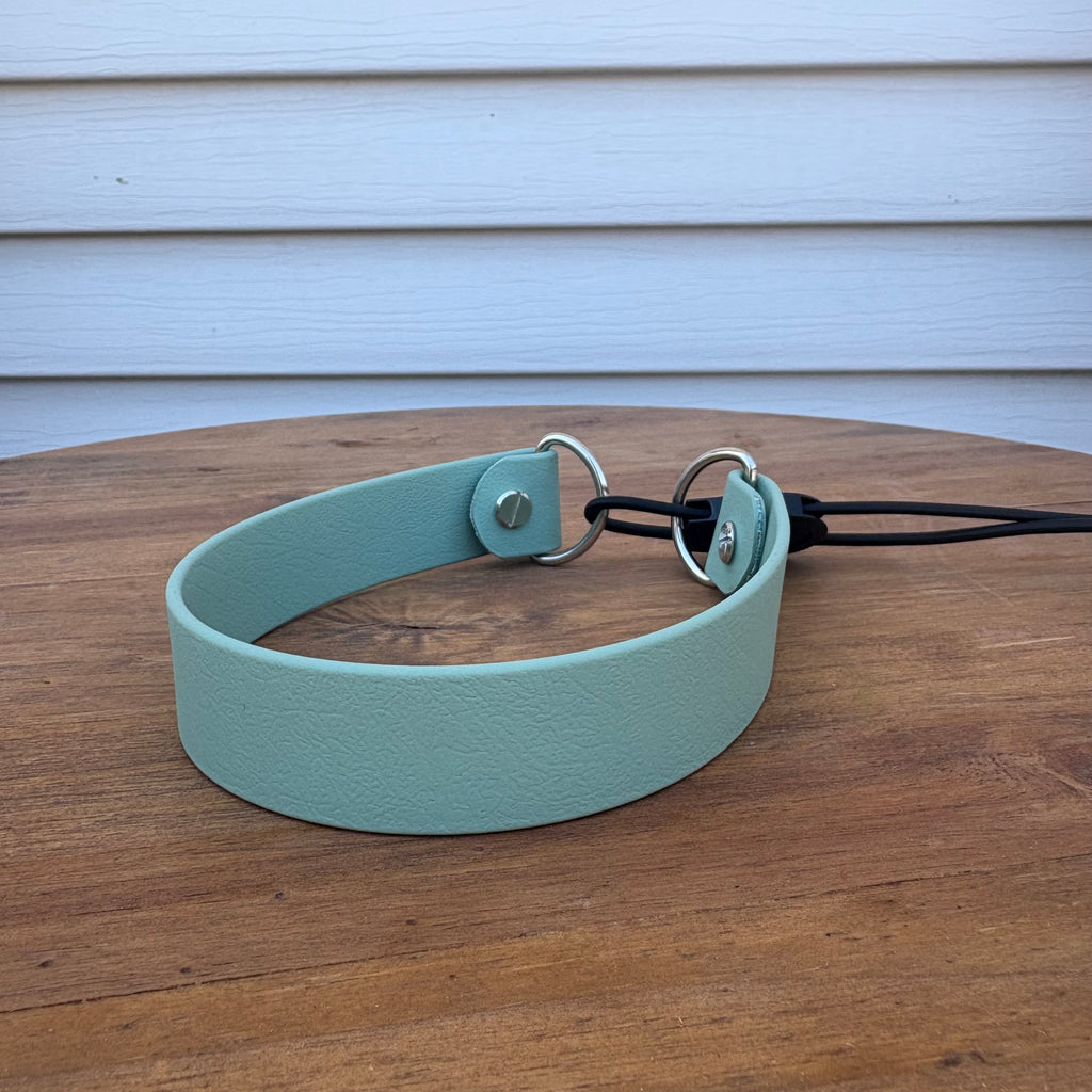 Bungee Collars
