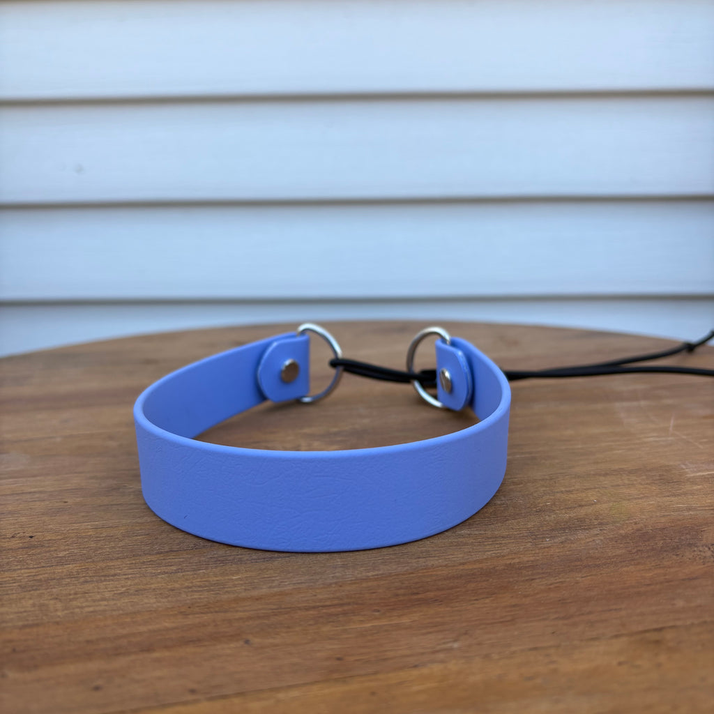 Bungee Collars