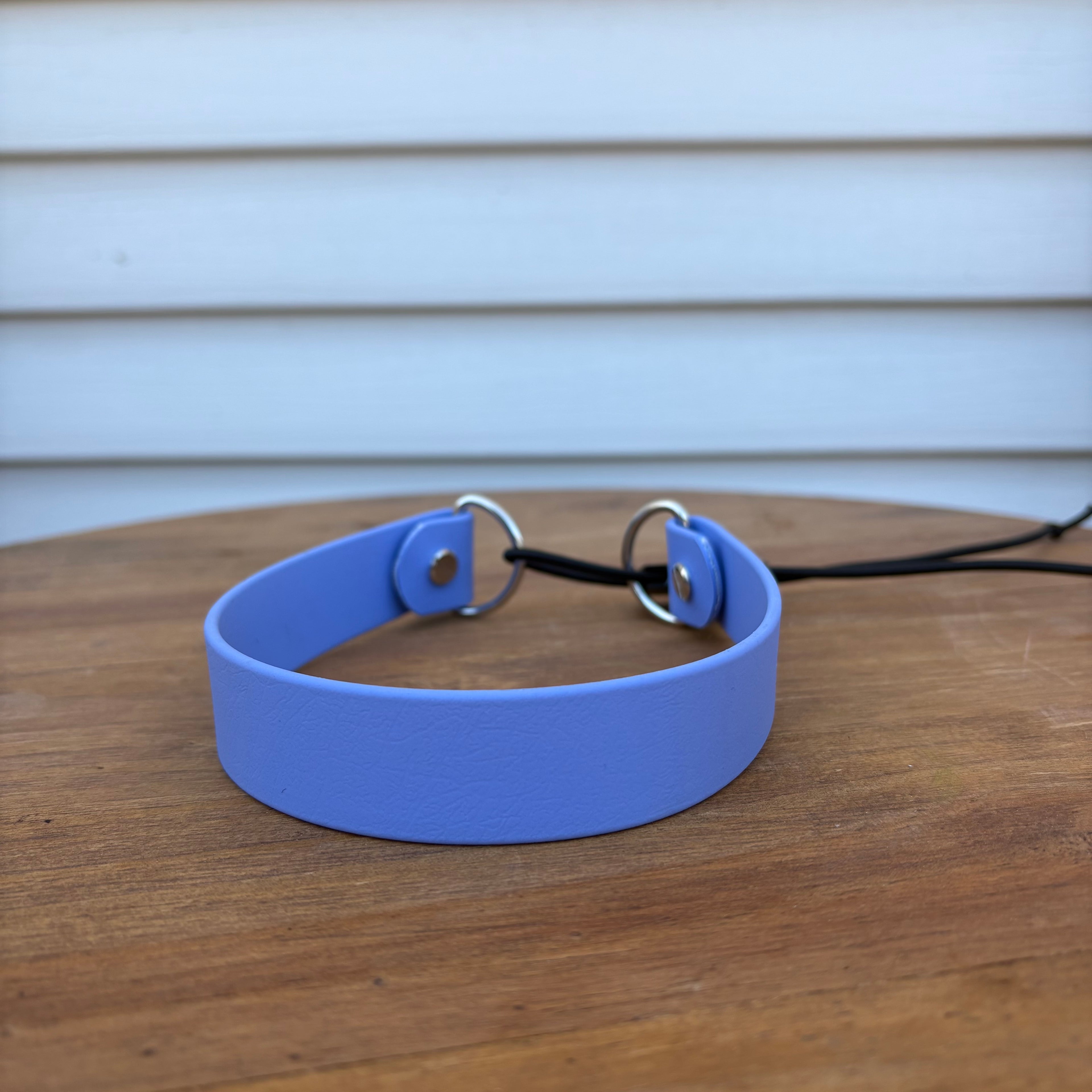 Bungee Collars