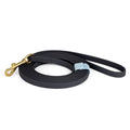 Biothane Long Lead