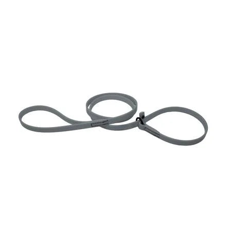 Biothane Slip Lead