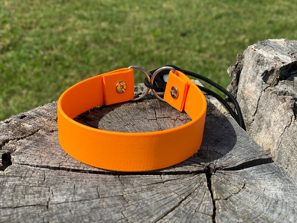 Bungee Collars