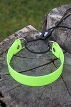 Bungee Collars